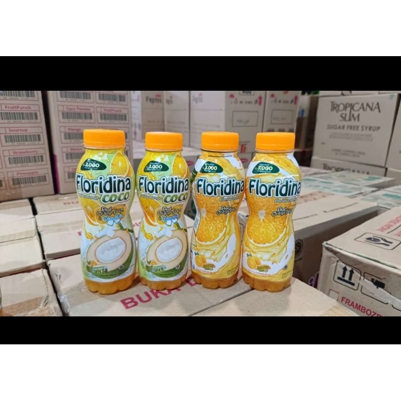 

Minuman Floridina Orange dan Coco 350ml