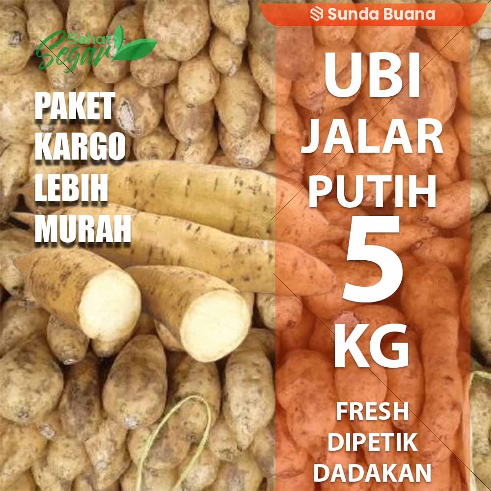 

Paket Kargo Umbi Ubi Jalar Putih 5 kg fresh kualitas unggul