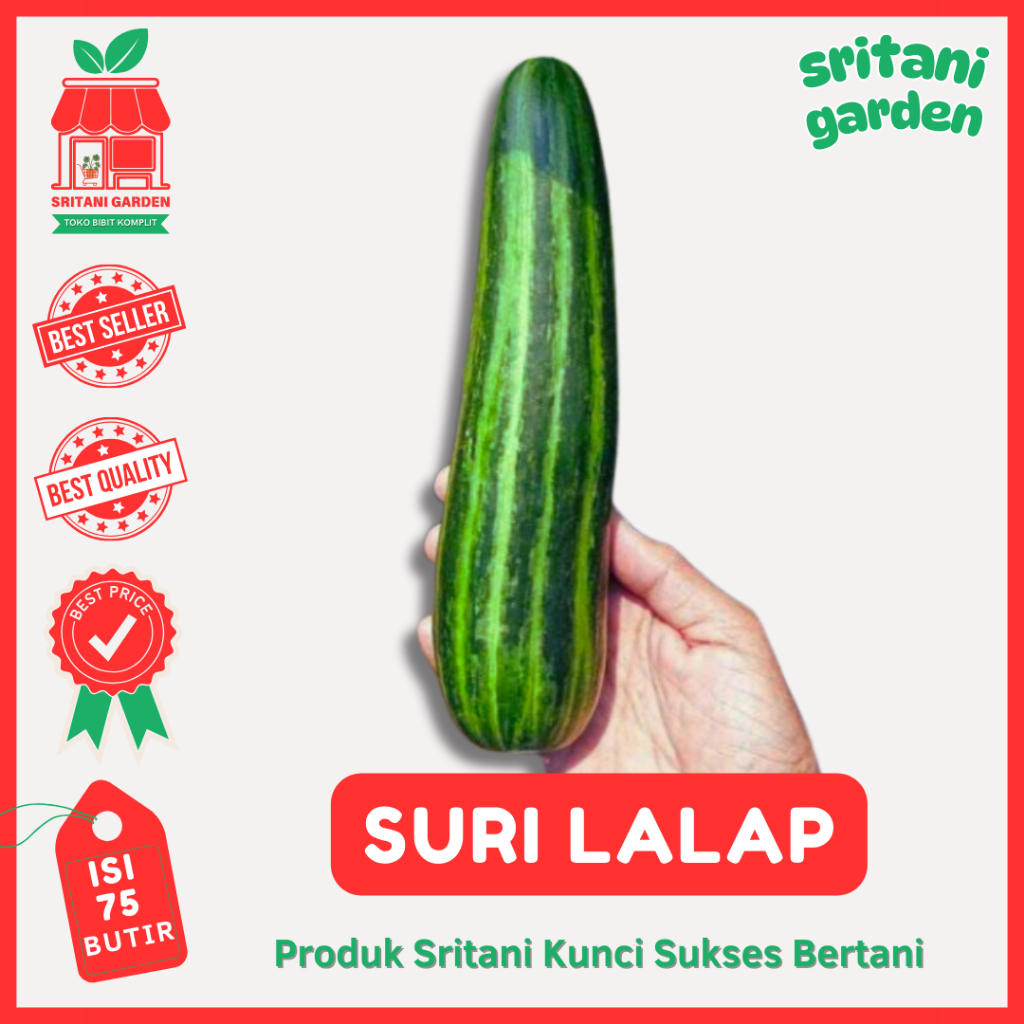 Benih Suri Lalap 75 Biji Timun Tidak Pahit - Sritani Garden