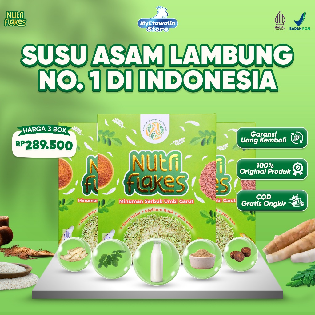 

Nutriflakes 3 Box Minuman Serbuk Umbi Garut Bantu Atasi Permasalahan Pencernaan 280g