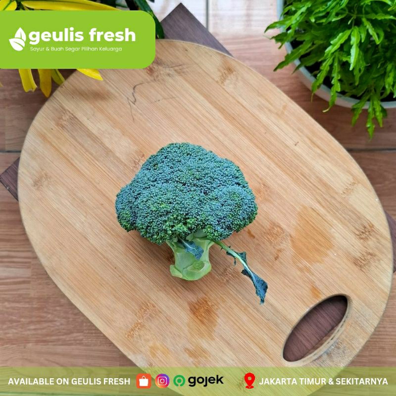 

Brokoli | 500gr Sayur Segar Jakarta Timur Geulis Fresh