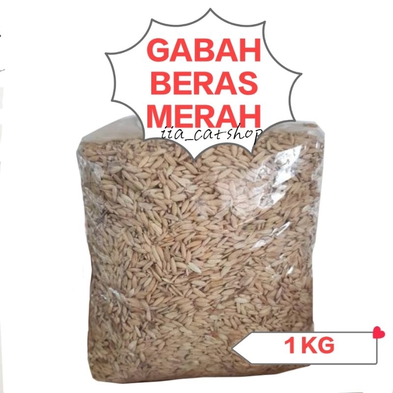 Gabah Padi Pakan Ayam Jago 1 KG