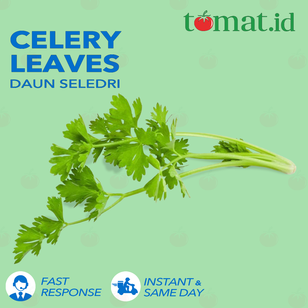 

Seledri / Celery