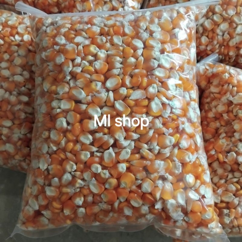 

Bibit jagung lokal kuning 1 kg masih baru dan tawar