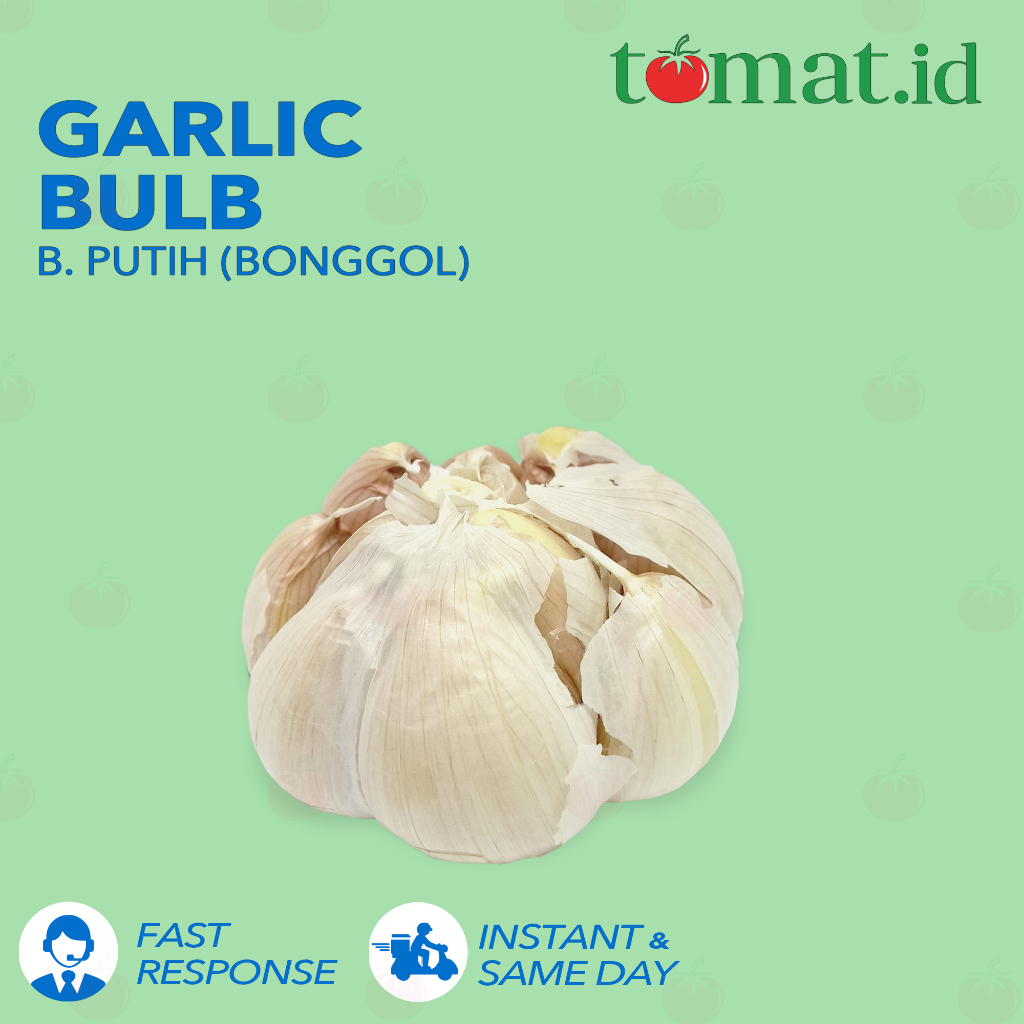 

Bawang Putih Kating (Bonggol)