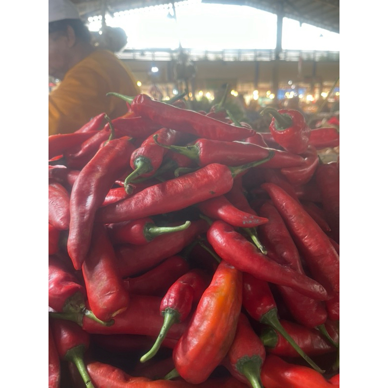 

CABE MERAH TANJUNG - SAYURAN SEGAR