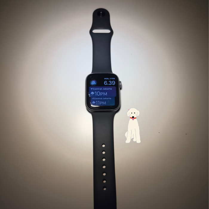 Apple Watch Series 4 (Second) / With Scratches