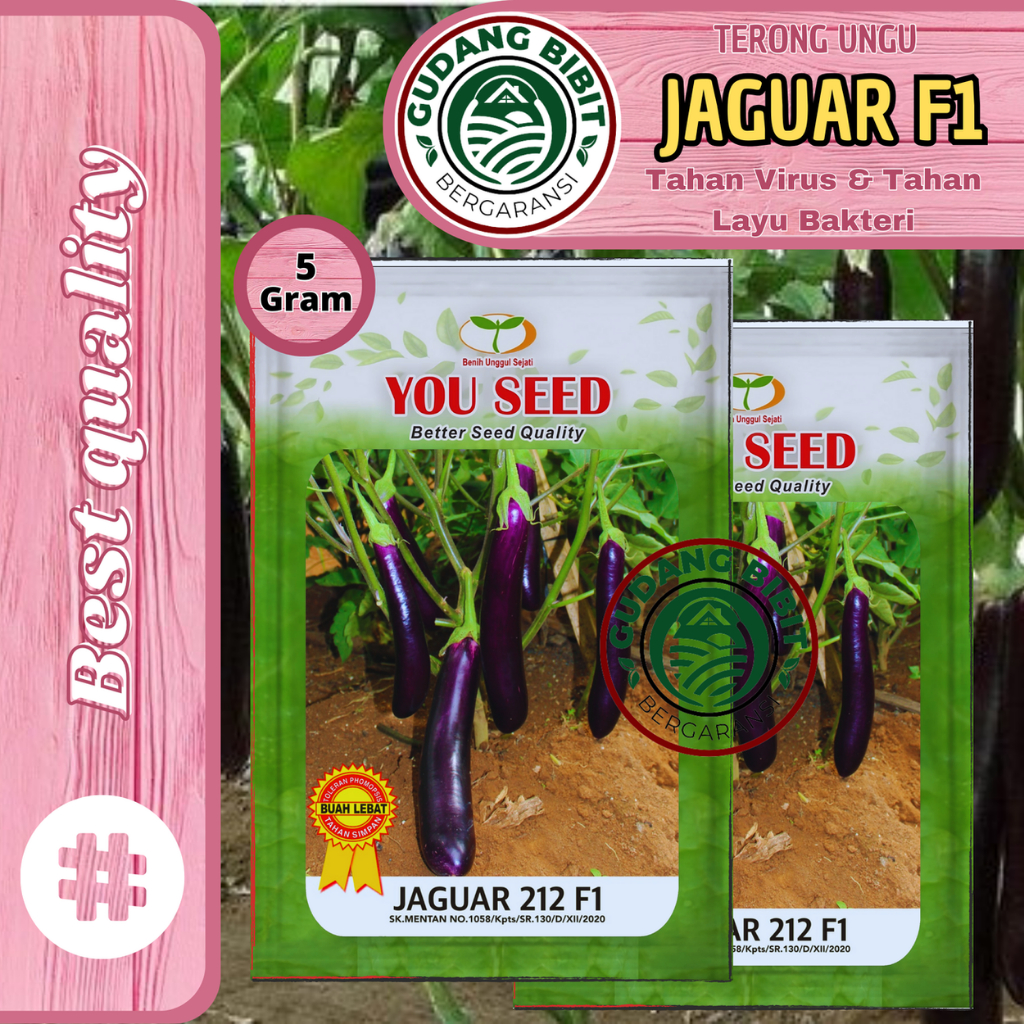Benih Bibit Terong Ungu JAGUAR 212 F1 5g You seed Tahan Virus Tahan Layu
