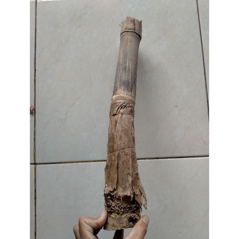 BAMBU UNIK PETUK SLUMPRING PANJANG JOS