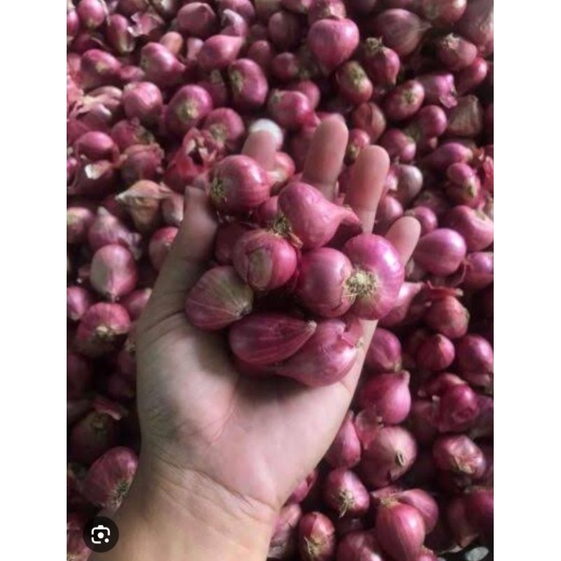 

BAWANG MERAH LOKAL NGANJUK 1KG / Bawang merah kualitas premium / Bawang merah asli Nganjuk/Brambang Nganjuk/Bawang