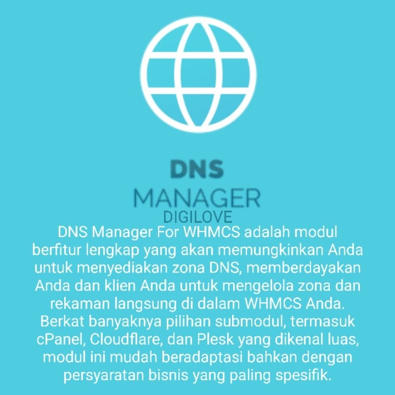 DNS Manager For WHMCS