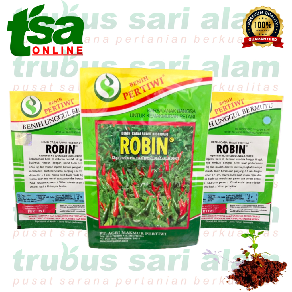 ROBIN F1 - 10gr benih bibit biji cabai rawit pedas lalap hibrida super PERTIWI