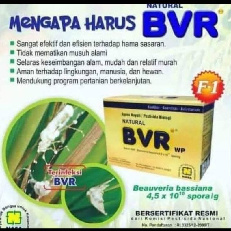 BVR NASA