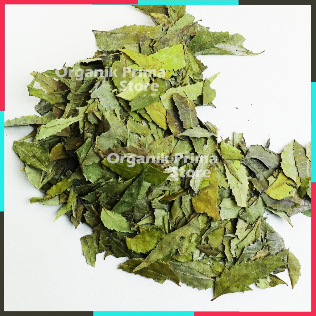 

Daun Mimba 1kg Kering Bersih dan Organik