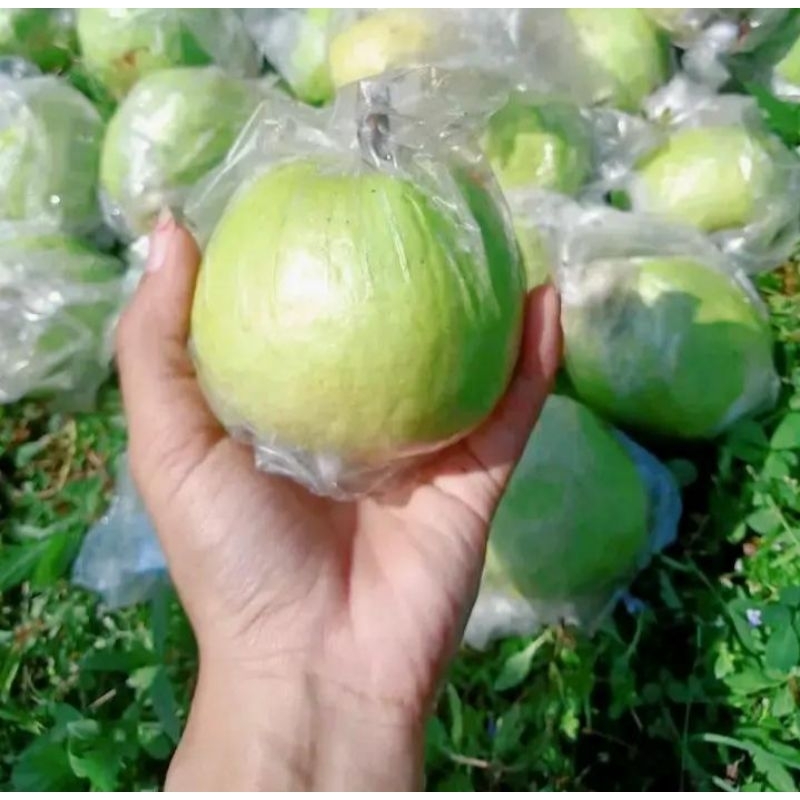 

jambu kristal 1kg gread A