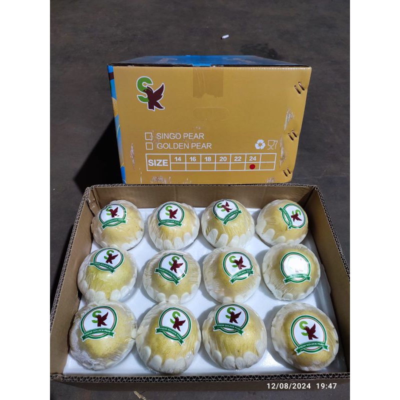 

Buah Golden Pear SK Harga per KG