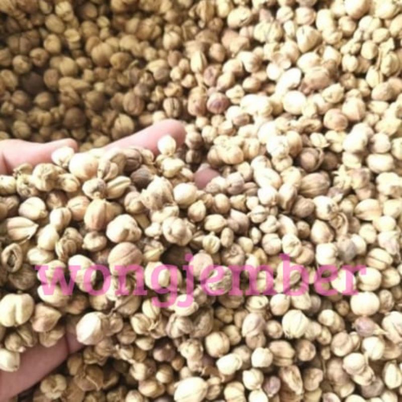 

kapulogo Jawa/kapulogo kering/kapol jawa