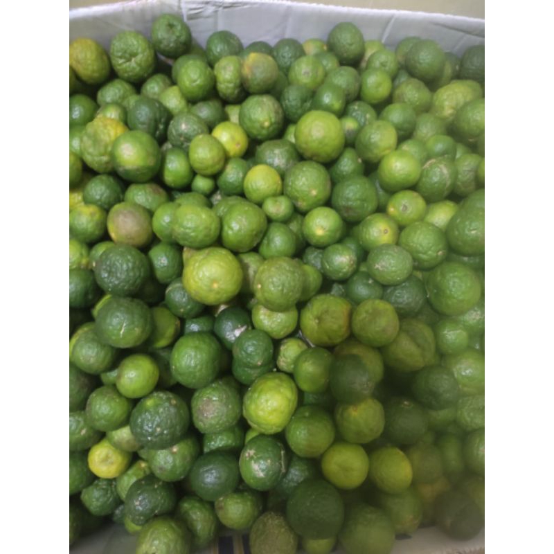 

jeruk limo 1kg