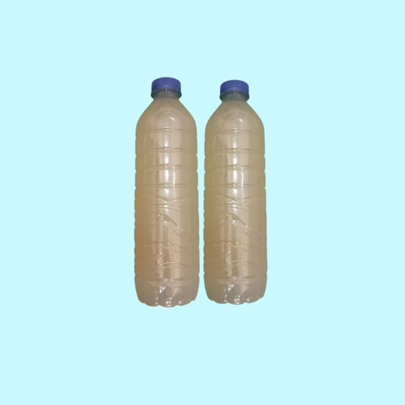 

Cuka Leggen Madura Terbuat Dari Air Siwalan