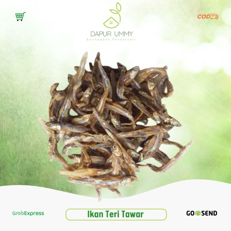 

TERI • Ikan Teri Tawar