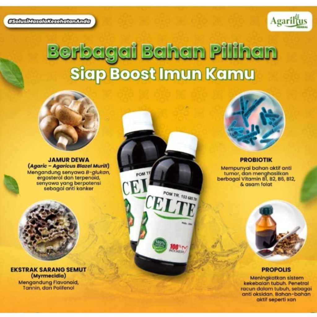 Agarilus CELTE-Herbal untuk LAMBUNG