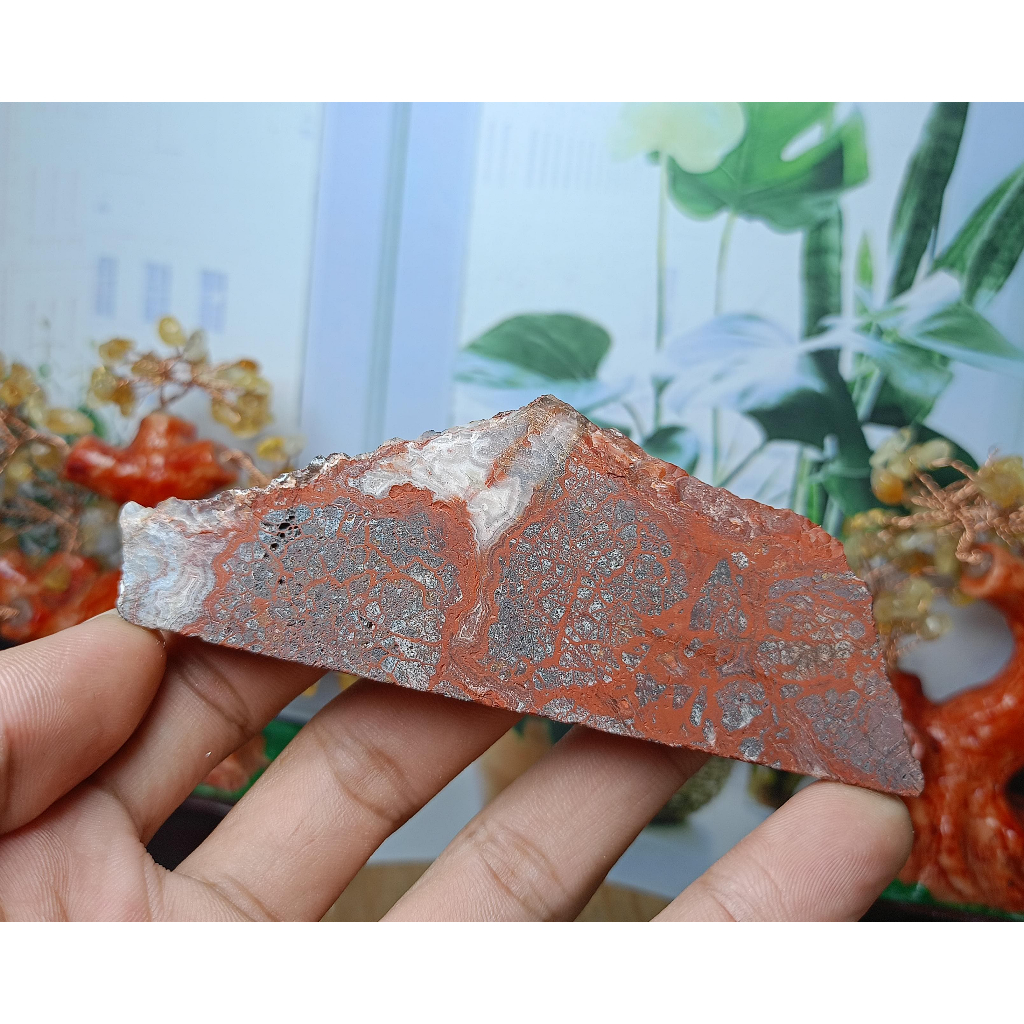 Batu Natural Mexico Agate Rough /Raw Stone (4)