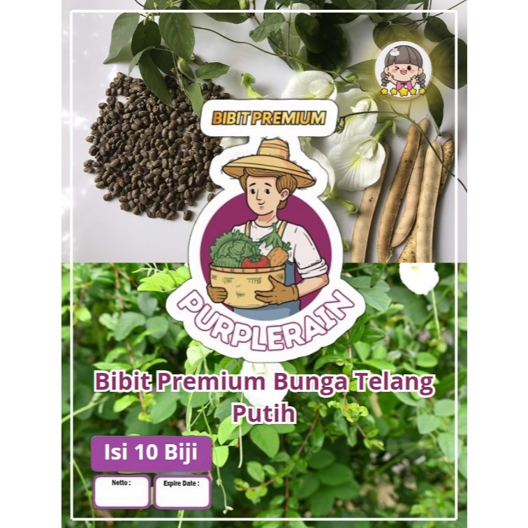 Bibit Premium Bunga Telang Putih|Benih Bunga Telang
