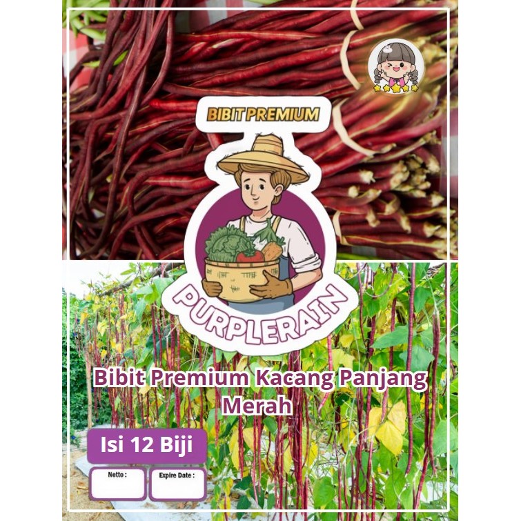 Bibit Premium Kacang Panjang Merah | Biji Benih Kacang Panjang Merah | Biji Bibit Kacang Panjang Mer