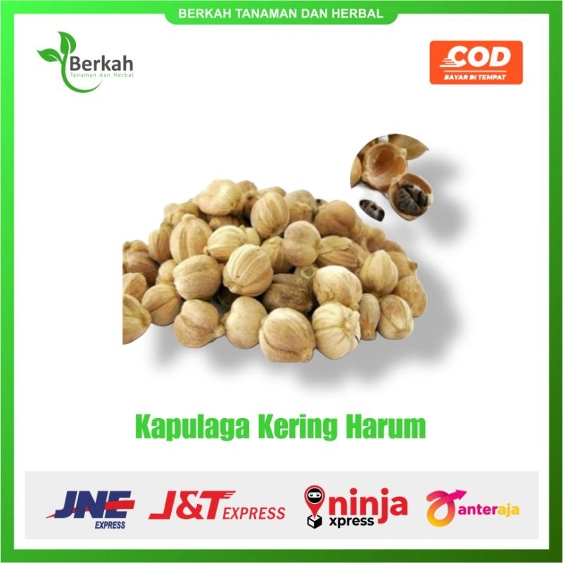 

Kapulaga Utuh Kering Bersih dan Harum 1 kg