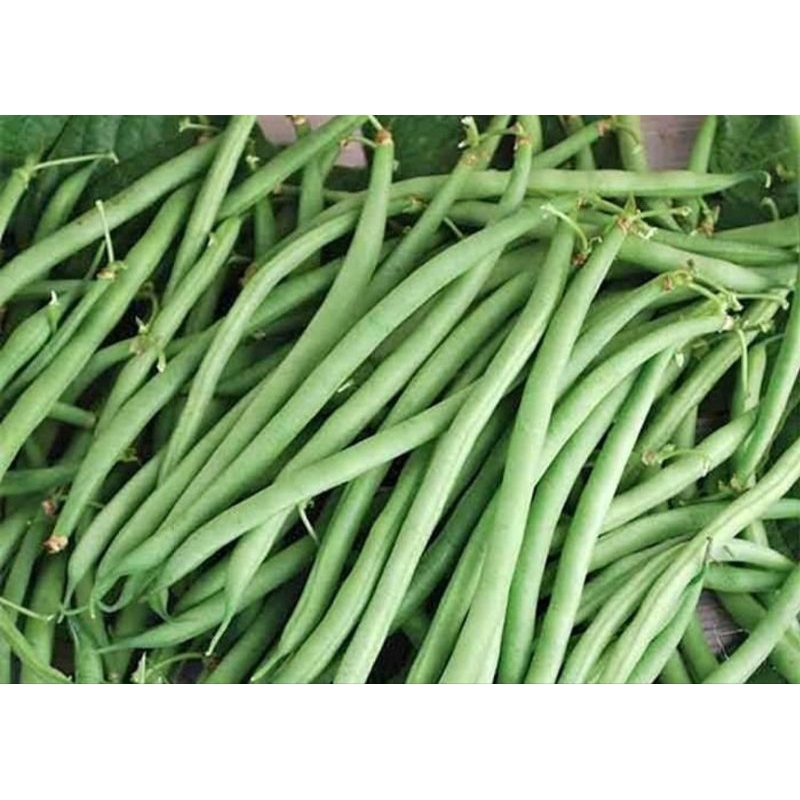 

INSTAN - BUNCIS FRESH 500GRAM