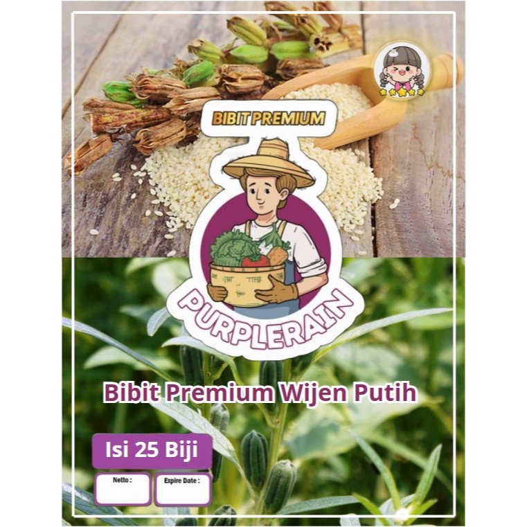 Bibit Premium Bunga Wijen Putih | Benih Bunga Wijen Putih | Wijen Putih