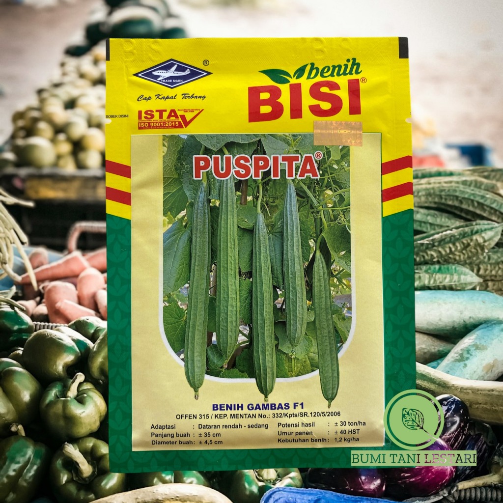 Benih Gambas F1 PUSPITA 10gram | Benih Oyong F1 PUSPITA BISI Cap Kapal Terbang