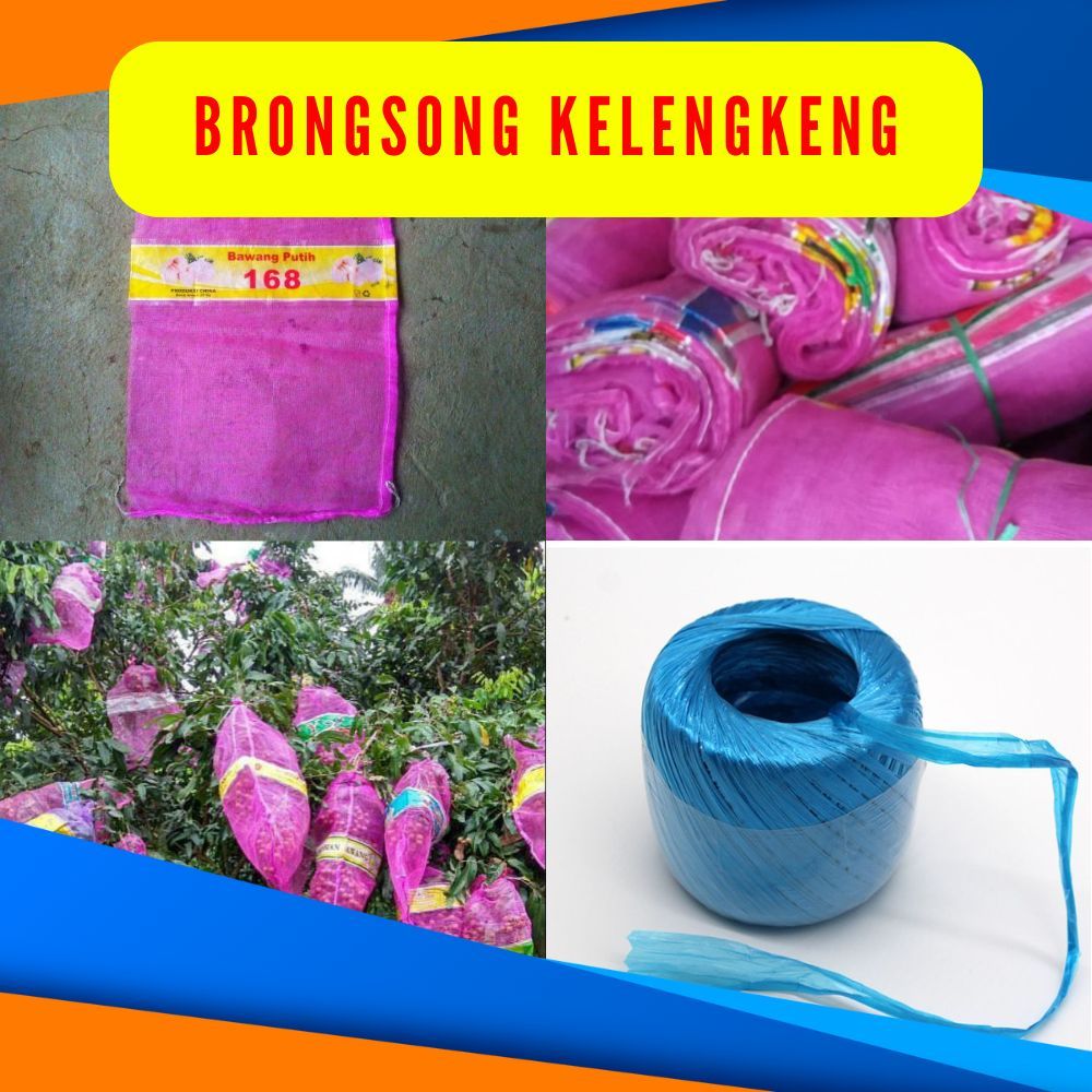 TERLARIS. Brongsong Kelengkeng Bekas, Pembungkus Buah Kelengkeng Isi 10PCS + RAFIA