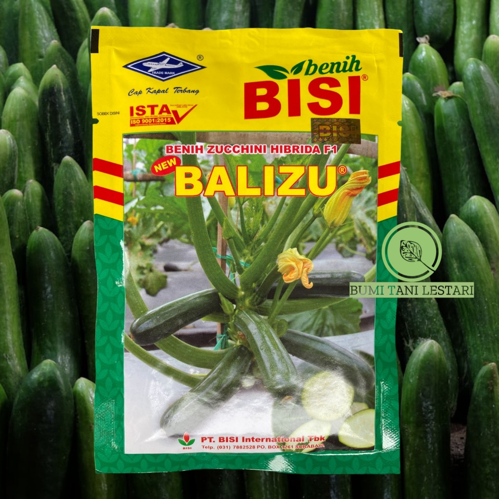 Benih Zucchini Cukini F1 New BALIZU 50gr - Benih Zucchini Cukini BALIZU BISI Cap Kapal Terbang