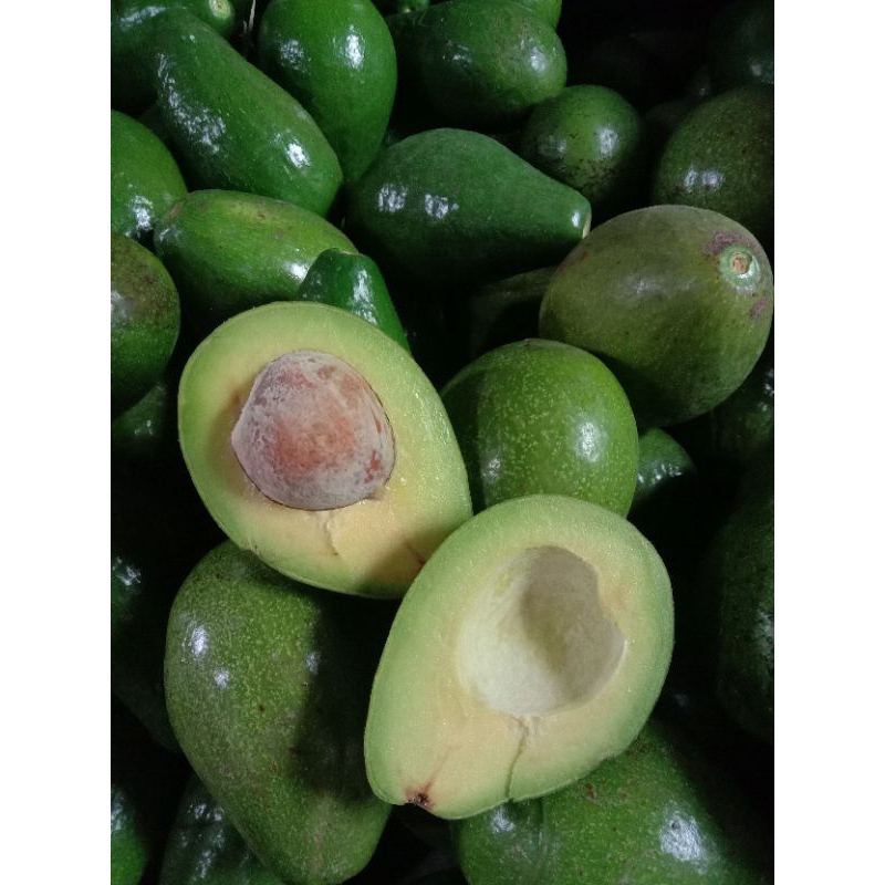 

Alpukat isi 456 Harga per 1kg