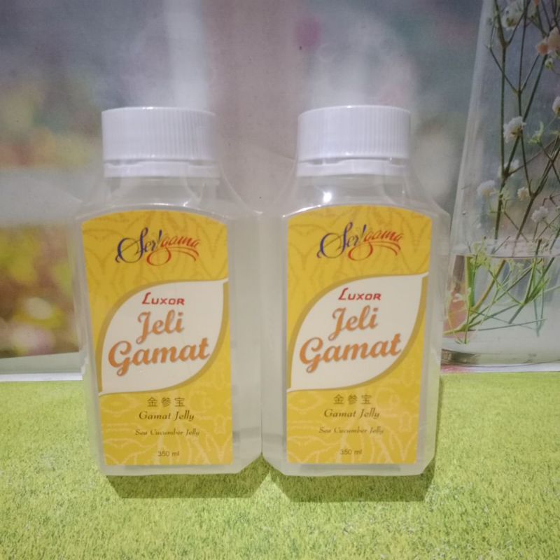 Jelly gamat luxor 350 Ml