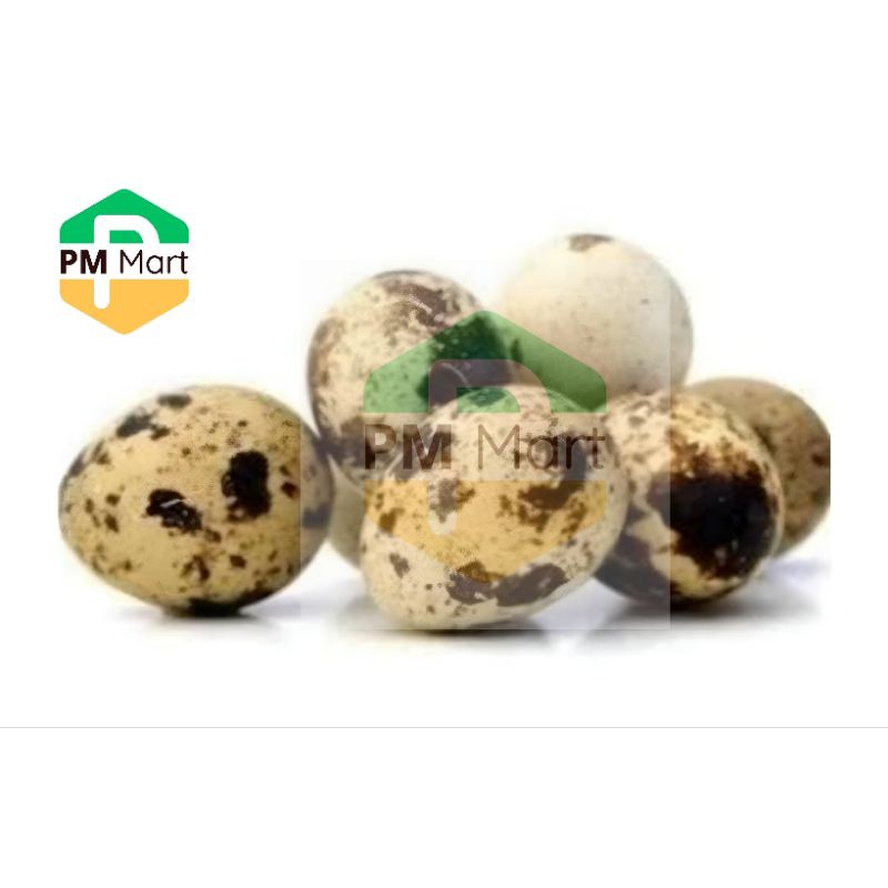 

Telur Puyuh Mateng Isi 10