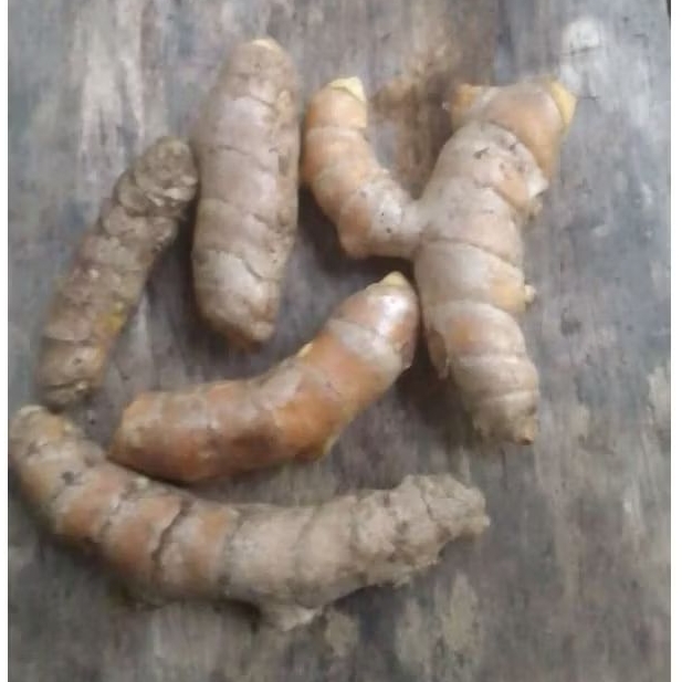 

TEMULAWAK SEGAR FRESH TEMU GLENYEH 1KG