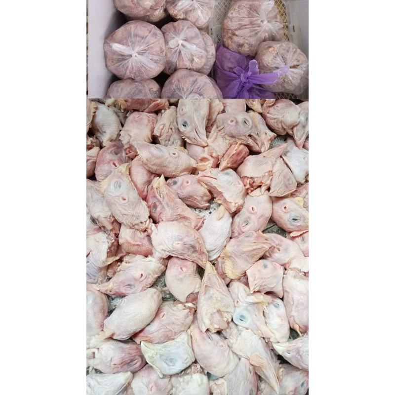 

MAKANAN ANABUL (KEPALA AYAM FRESH FROZEN)