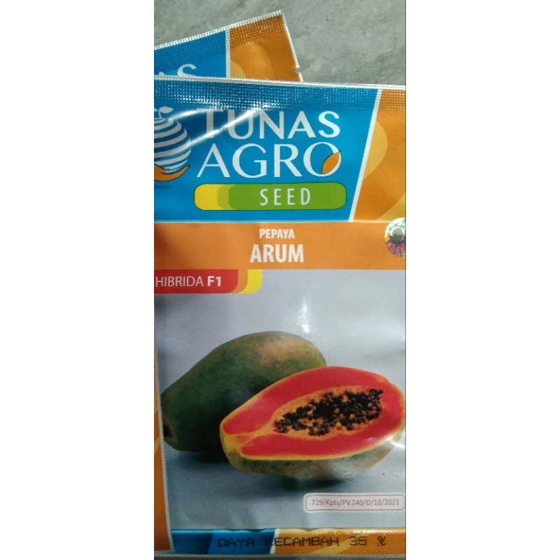 BENIH PEPAYA ARUM F1 Tunas Agro Asli pepaya hawai