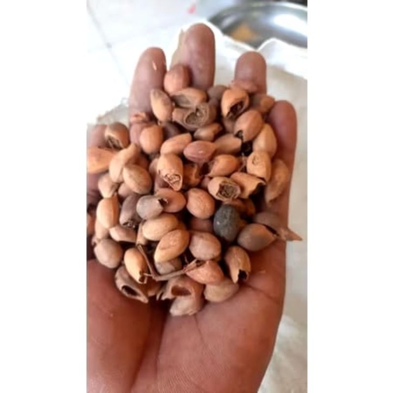

Biji gamelina super 1 kg