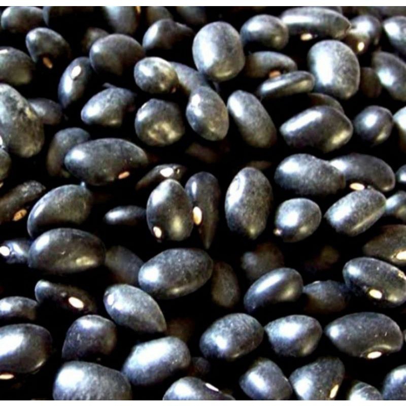 

BIBIT KEDELAI HITAM