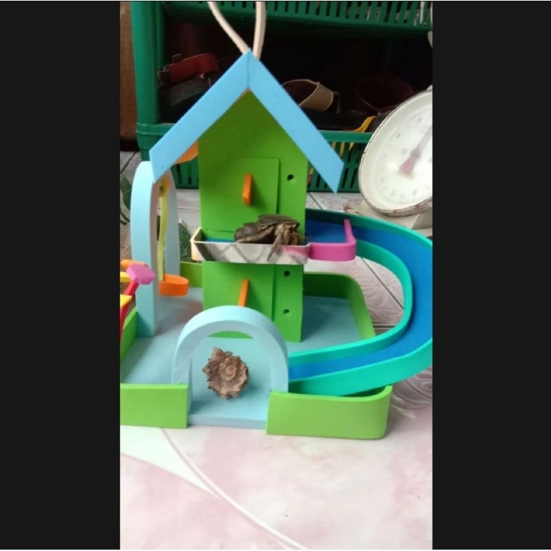 Rumah rumahan kelomang mainan anak bonus kelomang kecil