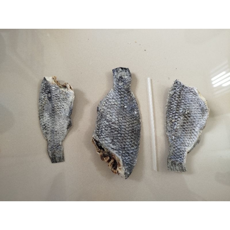 

Long He / Ikan Asin khas Gresik