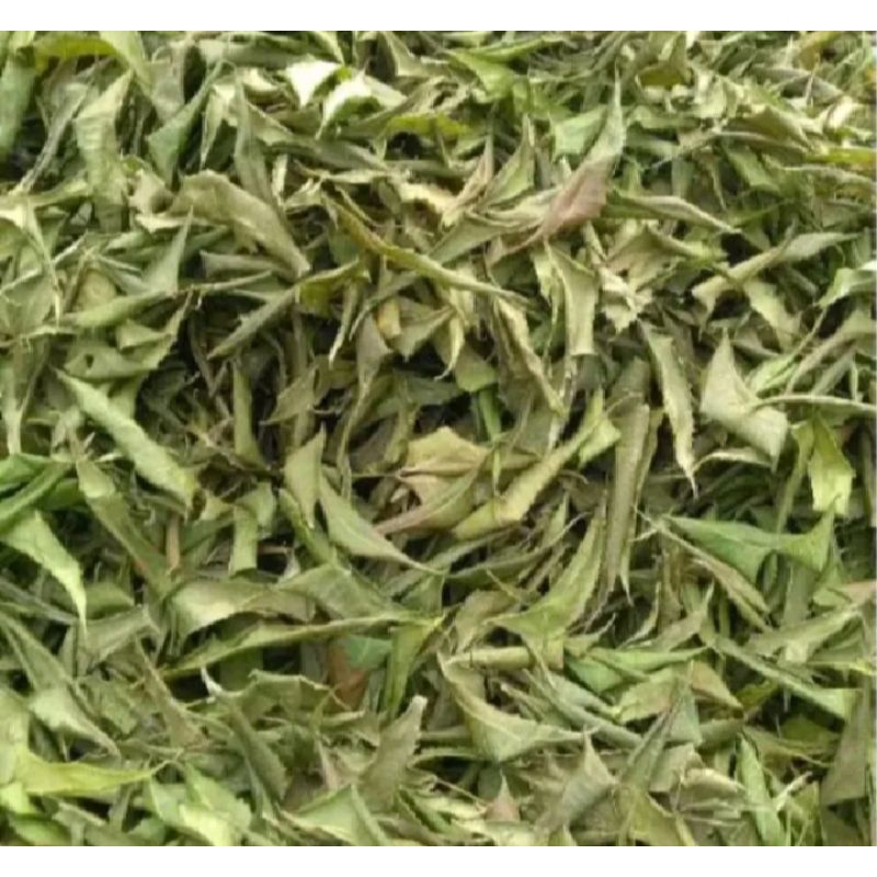 

Daun mimba herbal