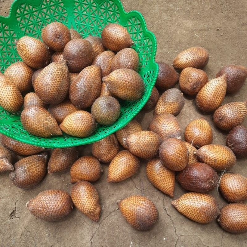 

Salak fresh manis 1kg | Naga Jawa | Salak Wonosalam