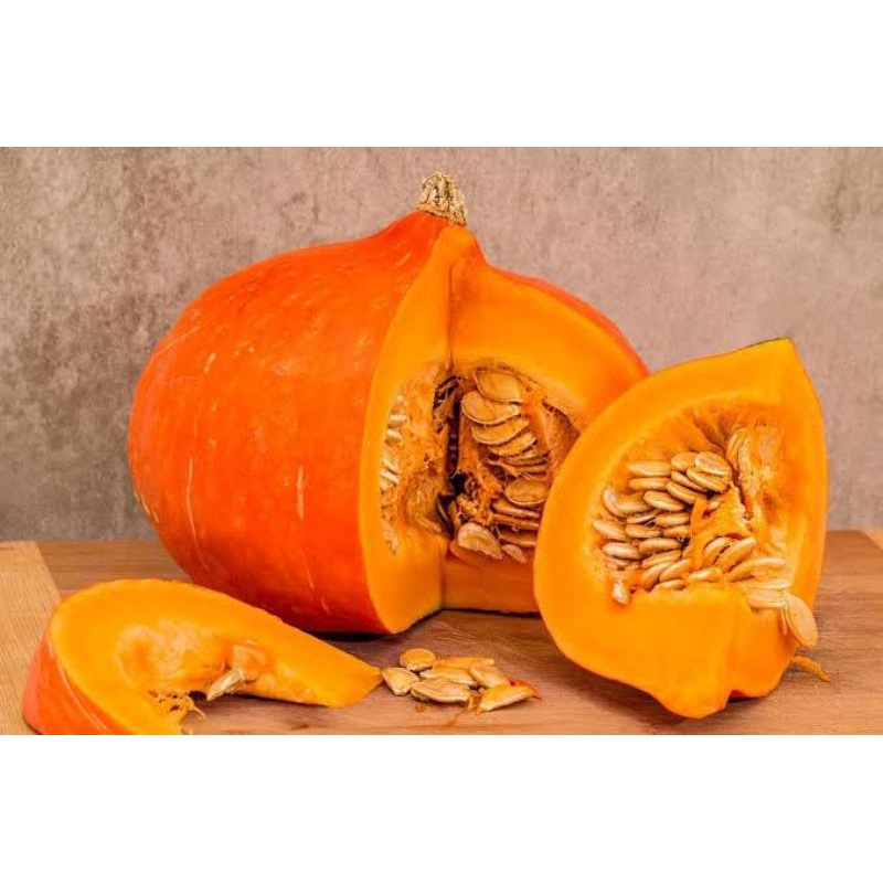 benih labu/waluh madu 50 biji superan bibit unggul