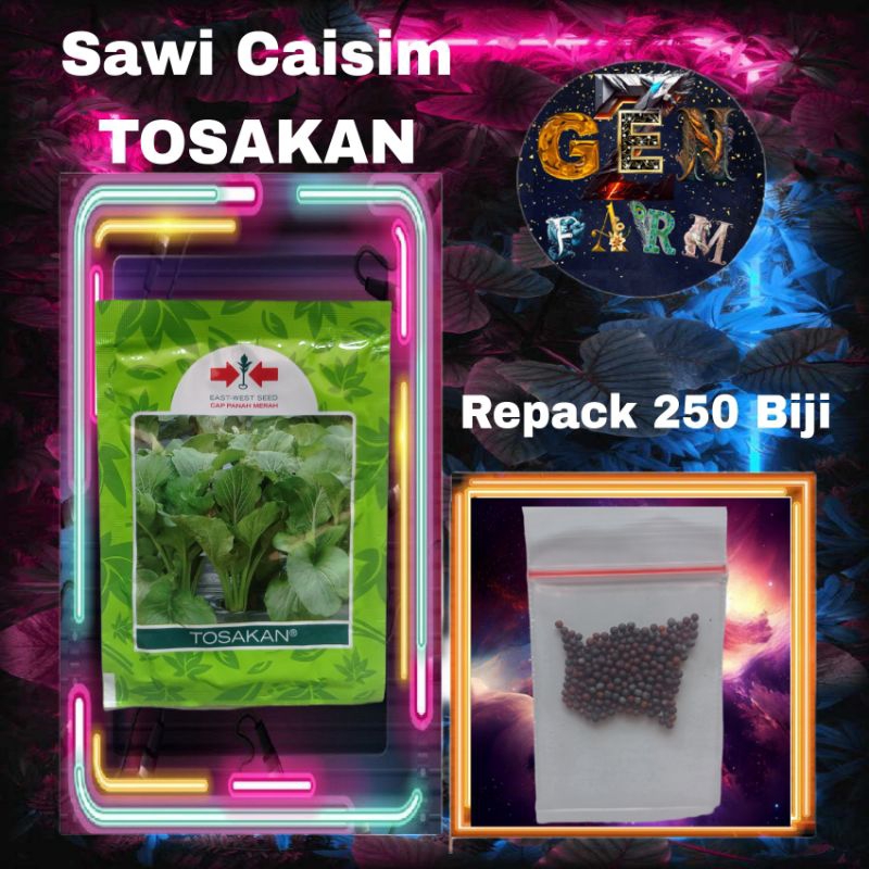 Benih Sawi Caisim Tosakan Panah Merah Bibit Sawi Caisim Tosakan Sawi Hijau Manis Repack 250 Biji