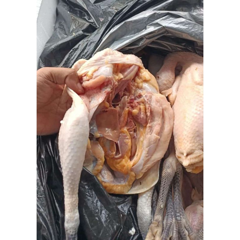 

Ayam Kampung Frozen