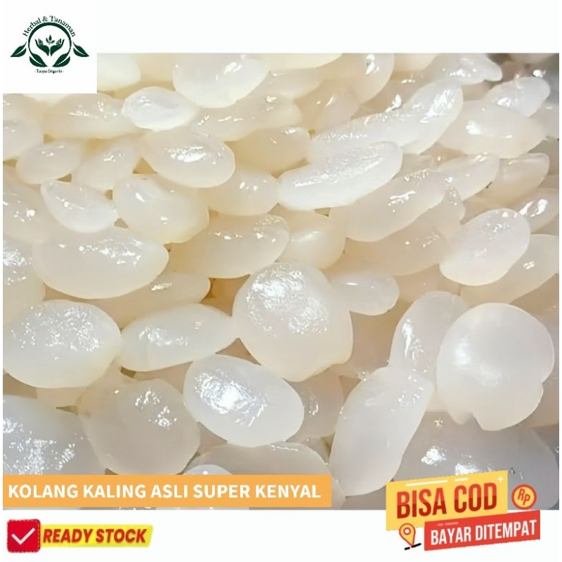 

kolang Kaling mentah super kenyal asli Fress 1kg